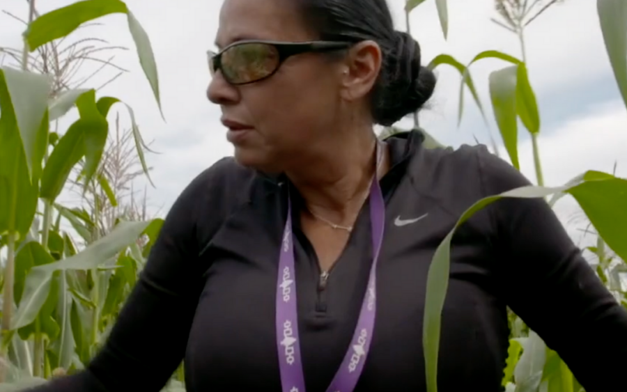 Indigenous Women’s Voices Series | Angela Ferguson